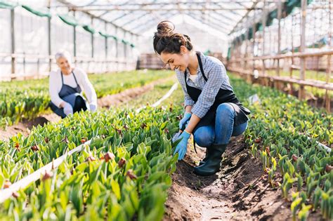 Como Se Utilizan Los Recursos Naturales En La Agricultura Utiliza