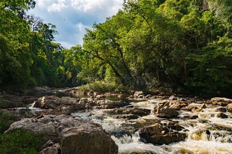 Lata Berkoh Cascade in River with Rocks and Waterfall in Taman Negara ...