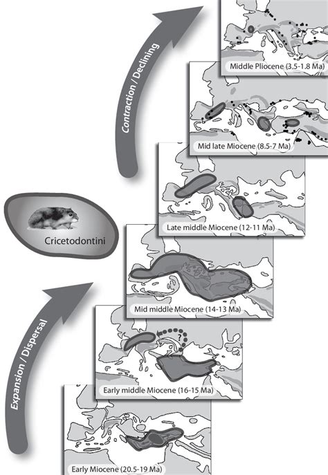 Palaeogeographic Maps For The Early Miocene 20 5 19 Ma To The Mid