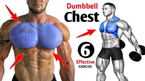 6 Fastest Effective Chest Workout With Dumbbells YouTube