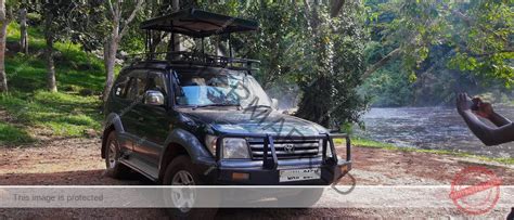 African Self Drive Safari Car Rent In Uganda Tanzania More