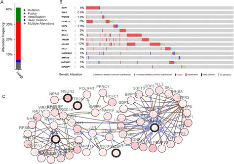 Integrated Analysis Of The Roles And Prognostic Value Of RNA Binding