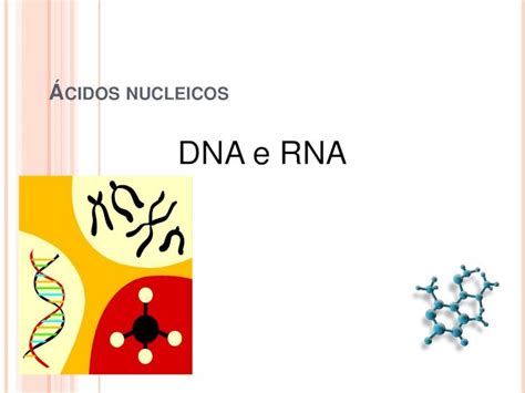 PDF áCidos nucléicos dna e rna DOKUMEN TIPS