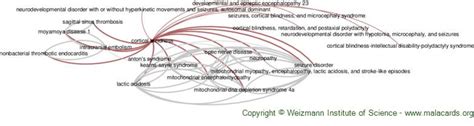 Cortical Blindness disease: Malacards - Research Articles, Drugs, Genes, Clinical Trials