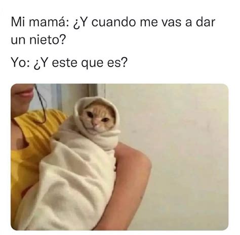 Mejor Un Gato Que Un Chamaco Miado Meme Subido Por Bite Skull Studios