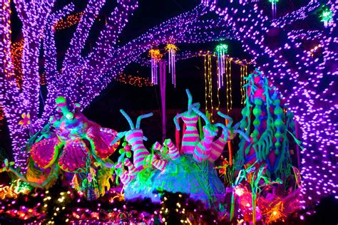 Houston Zoo Lights — Lonnie Hanzon