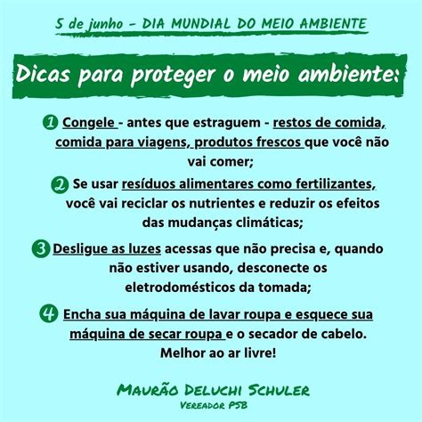 Dicas De Como Proteger O Meio Ambiente Câmara Municipal De Vacaria Rs