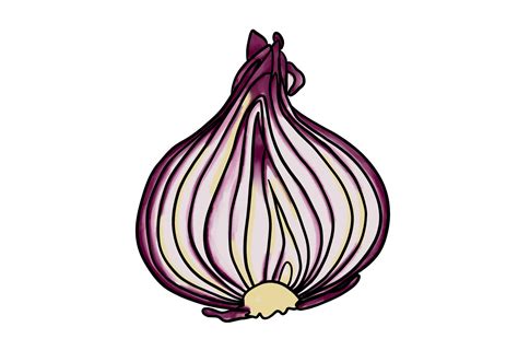 How To Draw An Onion Design School