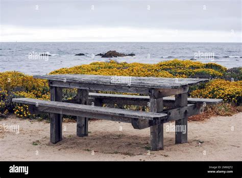 Wooden Table And Bench Near The Ocean On Mile Drive Mile Drive Is