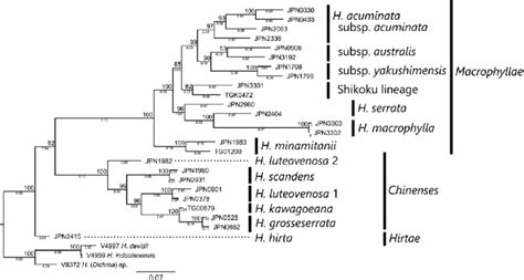 Molecular Phylogenetic Tree Reconstructed Using Mig Seq Bootstrap