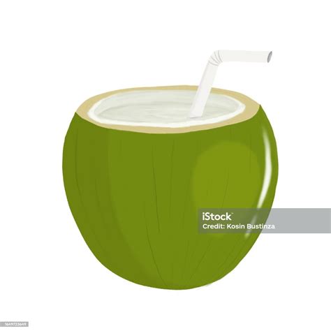 Thai Maphrao Numhom Coconut Water Stock Illustration Download Image