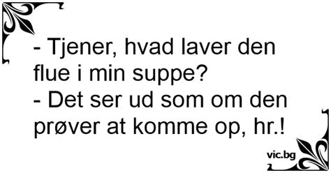 Tjener Hvad Laver Den Flue I Min Suppe Det Ser Ud Som Om Den