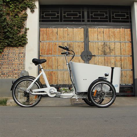 Electric Cargo Bike Ce Best Price Holland Bakfiets 3 Wheel Pedal