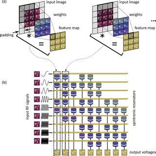 convolution   image  size    padding