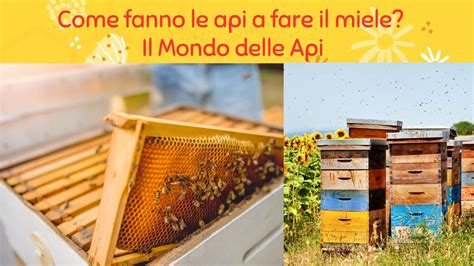 Come Fanno Le Api A Fare Il Miele Il Mondo Delle Api SostegnO 2 0