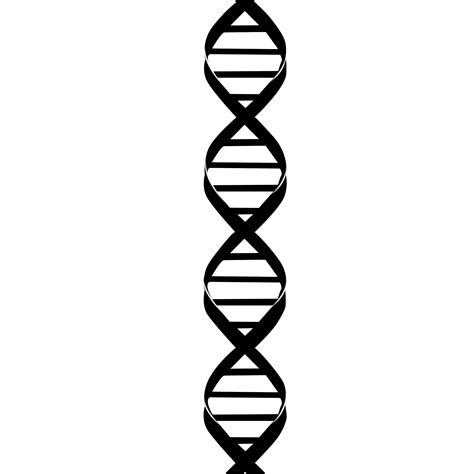 dna strand realistic drawing