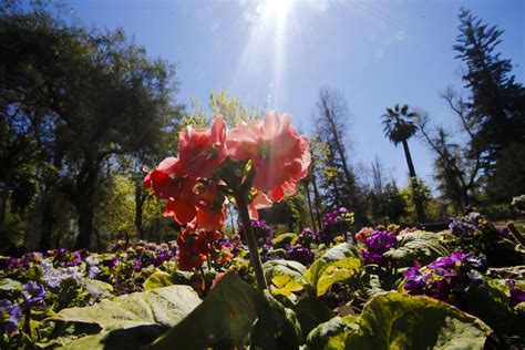 Atención este miércoles a las 16 21 comienza la primavera en Chile