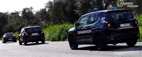 Controlli Dei Carabinieri Nelle Aziende Agricole Della Piana Sanzioni