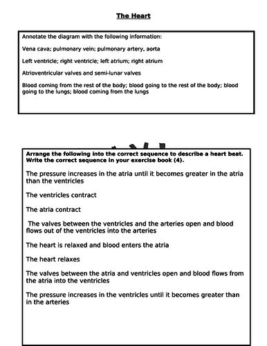 GCSE Biology - Heart Structure | Teaching Resources