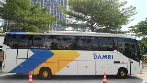 damri hadirkan angkutan rute jababeka bandara soetta economic