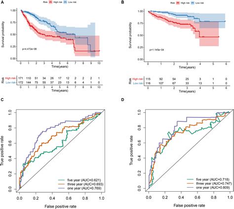 Frontiers Identification Of Seven Gene Hypoxia Signature For