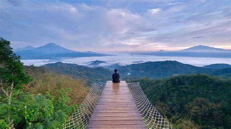 Wisata Jogja Yang Sejuk Menikmati Suasana Asri Di Kebun Teh Nglinggo