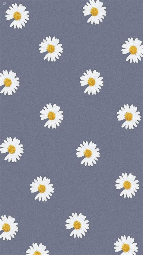 Daisy Gambar Bunga Aesthetic Pinterest