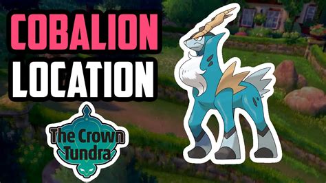 How To Catch Cobalion Pokemon Sword Shield Dlc Youtube