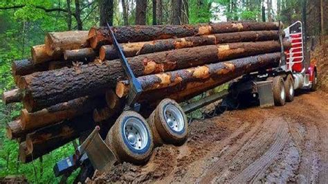 Amazing Dangerous Skill Biggest Logging Truck Operator Fastest