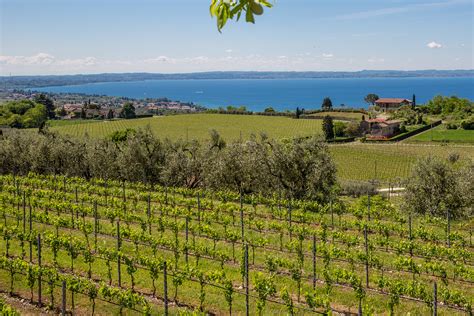 Wein Und Weingueter Aus Bardolino Am S D Stlichen Gardasee