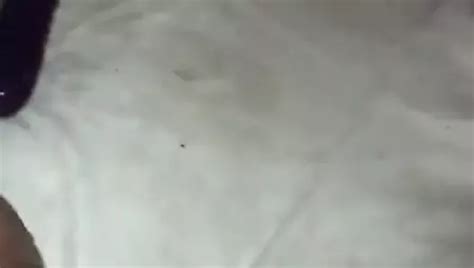 La Goth Scozzese Adora Sborrare Un Dildo Enorme Dappertutto XHamster