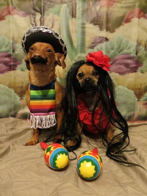 186 Best Pets in Costumes images | Pets, Pet costumes, Dog costumes