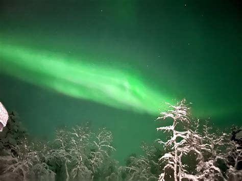 Winter Wonderland: A Guide to Inari, Finland | ShawnVoyage