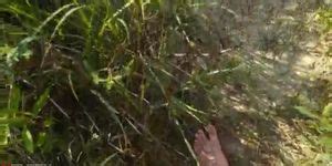 Dickflash Nude Woman On Beach Porn Videos