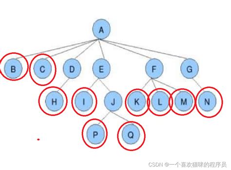 数据结构树以及二叉树的概念 it分支节点母节点 CSDN博客