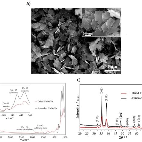 CuO NPs Characterization A SEM Images Of CuO NPs B FTIR Spectra Of