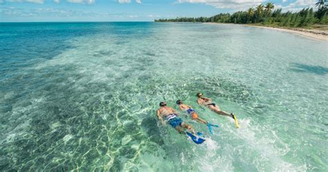 Things To Do In Freeport Bahamas Itinerary, 42% OFF