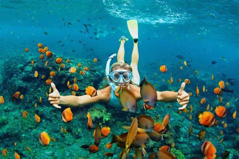 Snorkeling Tours in Hawaii | Hawaiian Planner