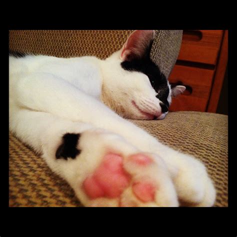 Im Obsessed With This Pussy And I Dont Even Care Who Knows Mehspace