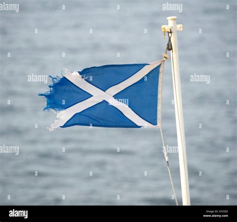 Saltire Flag High Resolution Stock Photography and Images - Alamy