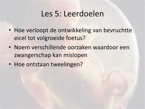 Ppt Voortplanting En Ontwikkeling Powerpoint Presentation Free