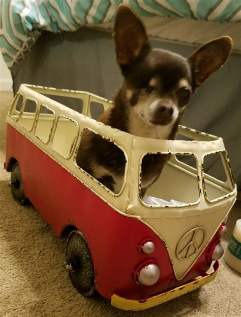 Legal Experts Explain The Jennifer Wenisch Prosecution Strategy