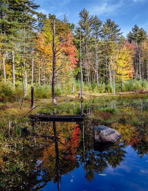 Beaver Brook Hollis New Hampshire The Woods And Wetland Flickr