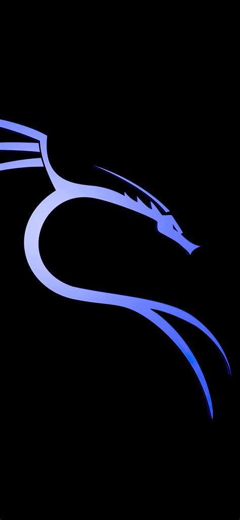 backtrack linux logo