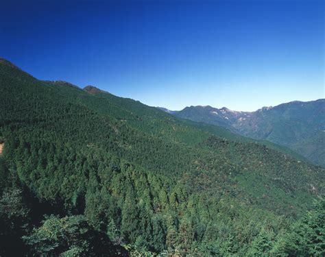 added   photo