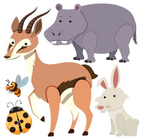 Premium Vector | Set of animals cartoon simple style