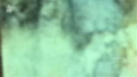 Babilona Affair With Owner Hot Sex