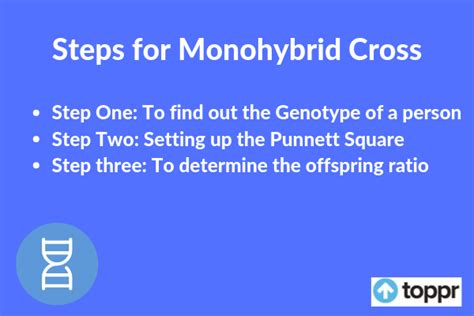 Monohybrid Cross - Definition, Steps, and Examples | Toppr