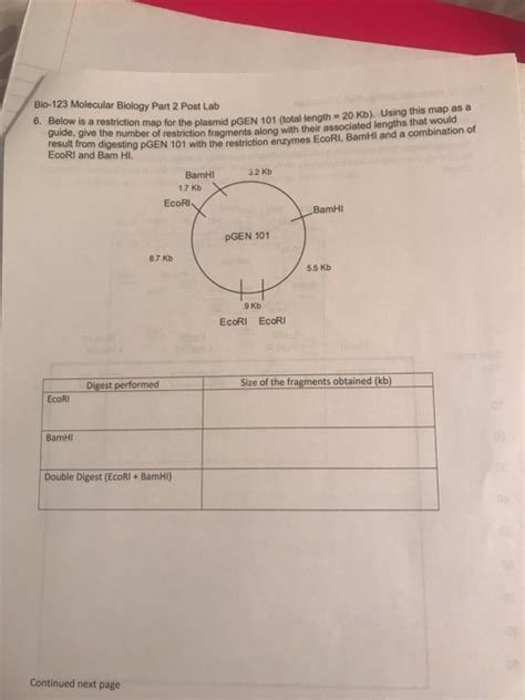 Below Is A Restriction Map For The Plasmid Pgen101 Answers 20 Pages