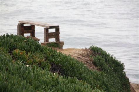 Sunny Cove in Santa Cruz, CA - California Beaches